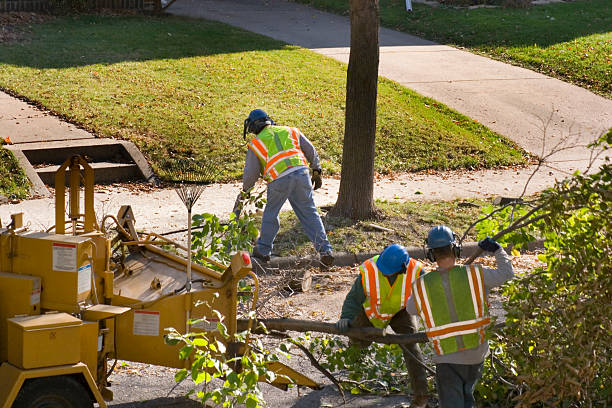 Best Arborist Consultation Services  in Kimberly, AL